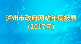 政府網(wǎng)站年度報表發(fā)布（2017年）