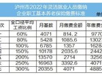 共分七檔,！瀘州市2022年靈活就業(yè)人員職工基本養(yǎng)老保險(xiǎn)繳費(fèi)標(biāo)準(zhǔn)公布