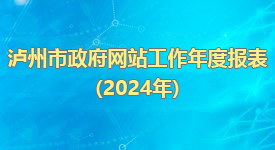 政府網(wǎng)站工作年度報表（2024年）