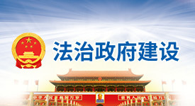 法治政府建設(shè)