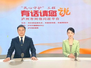 2024年瀘州市衛(wèi)生健康委員會工作